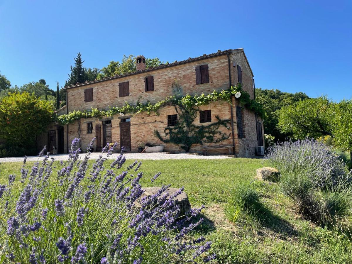 L'Infinito Bed and Breakfast Mombaroccio Eksteriør billede