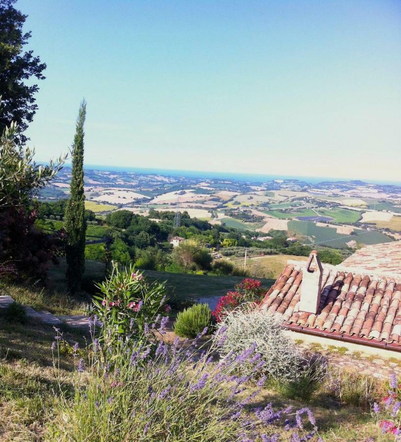 L'Infinito Bed and Breakfast Mombaroccio Eksteriør billede