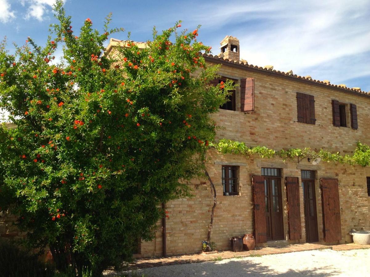 L'Infinito Bed and Breakfast Mombaroccio Eksteriør billede